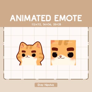 Animated Emote Chibi Orange Tabby Cat Lifting His Thick Fabulous Eyebrows - Cute Cartoon Emote - Ready to Use - Chibi Emote for Streaming