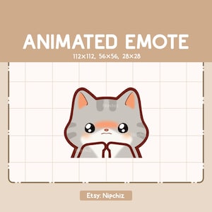 Animated Emote Cute Gray Tabby Cat Shy and Begging / Cartoon Chibi Emote / Ready to Use / Adorable Emote for Streaming