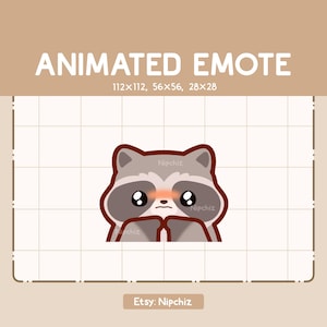 Animated Emote Cute and Adorable Raccoon Shy and Begging -Cute Funny Emote - Ready to Use - Kawaii Emote