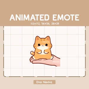 Animated Emote Cute Hand is Presenting a Cute Orange Tabby Cat - Chibi Cartoon Emote - Ready to Use - Funny Emote