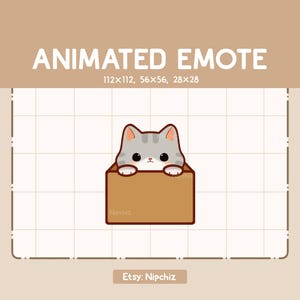 Animated Emote Emerge Gray Tabby Cat from Cardboard / Cartoon Cute Emote / Chibi Emote for Streamer / Kawaii Cartoon Emote
