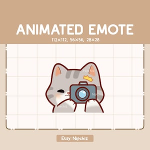 Animated Emote Chibi Gray Tabby Cat Is Taking a Picture With His Camera / Kawaii Cute Emote / Ready to Use / Emote for Streaming