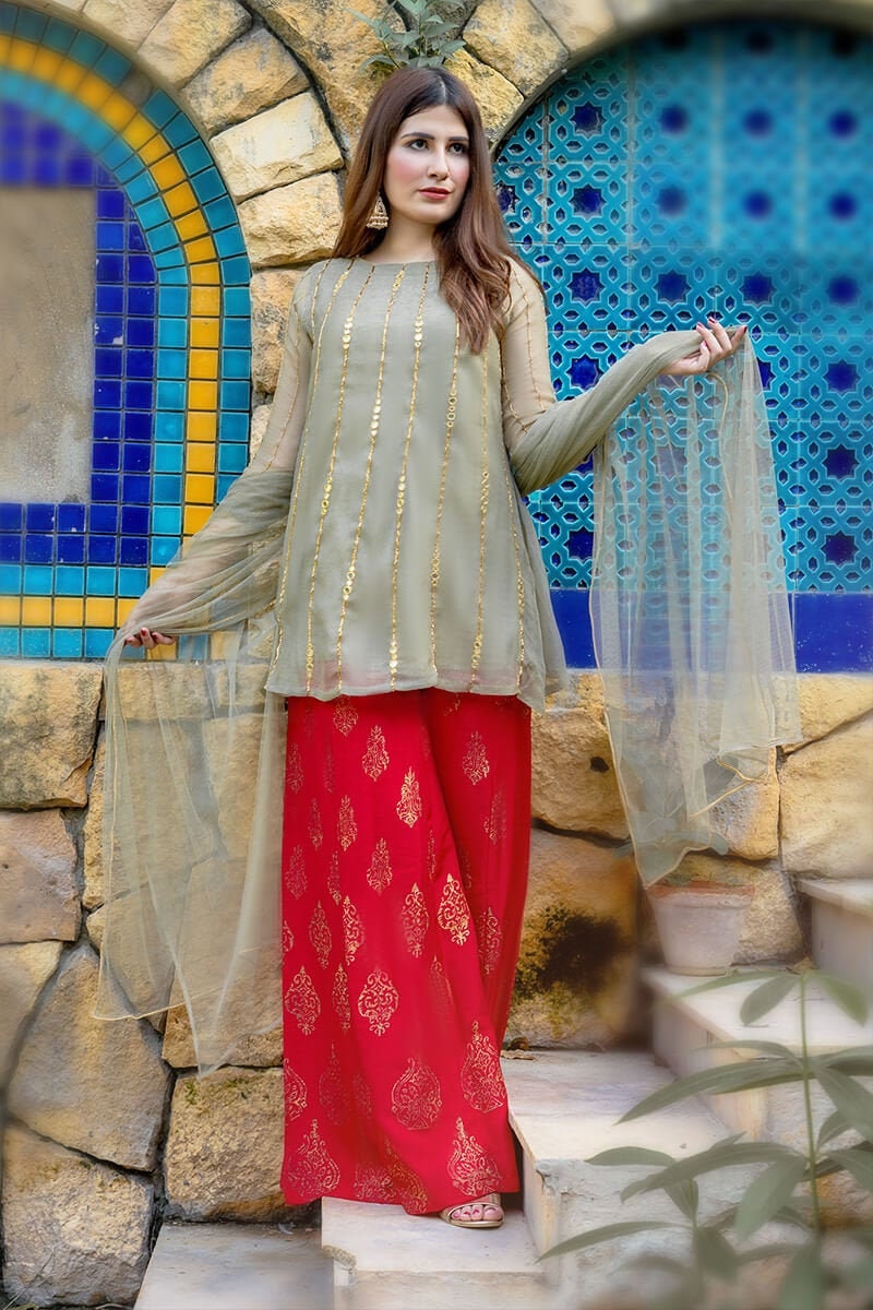 party weardesigner suits pakistani