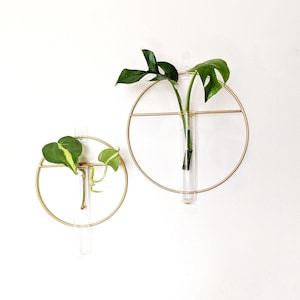 Hanging Hydroponic Vase / Propagation Station Metal Circle with a cross bar