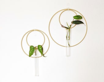 Hanging Wall Vase with double metal hoops, minimalist design