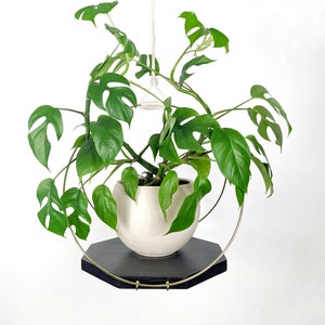 Large Plant Hanger with Wooden base and Gold Hoops Black stain