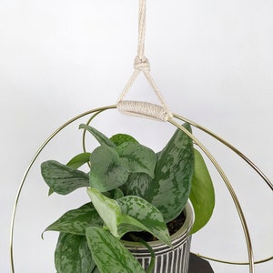 Large Plant Hanger with Wooden base and Gold Hoops image 7