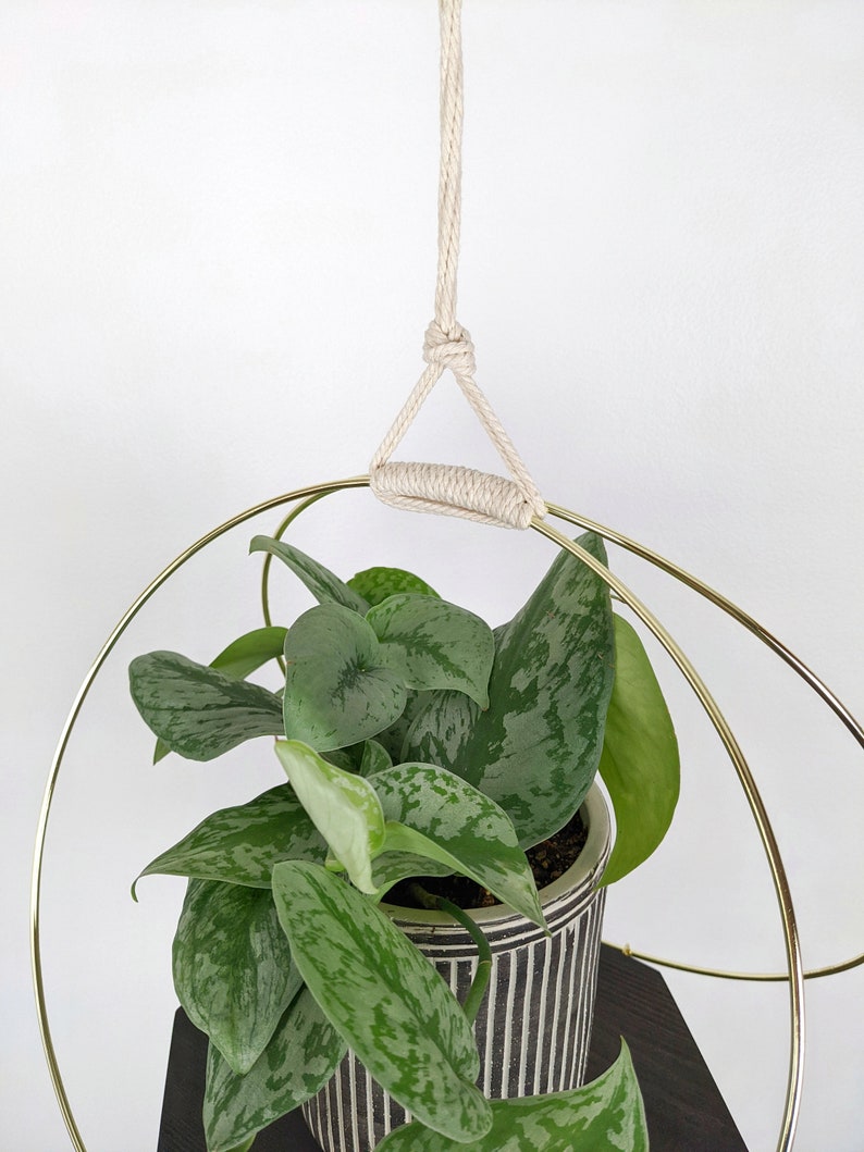 Large Plant Hanger with Wooden base and Gold Hoops image 7