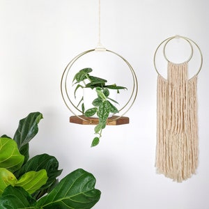 Modern Wooden Plant Hanger with Gold Hoops image 2