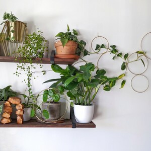 Large Gold Hoop Indoor Plant Wall Trellis image 8