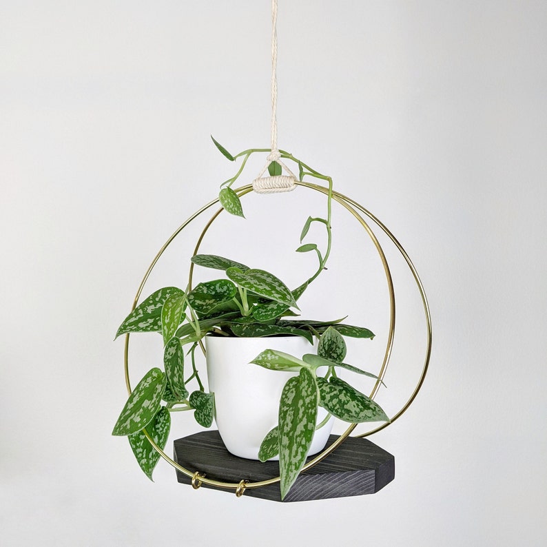 Modern Wooden Plant Hanger with Gold Hoops Black stain