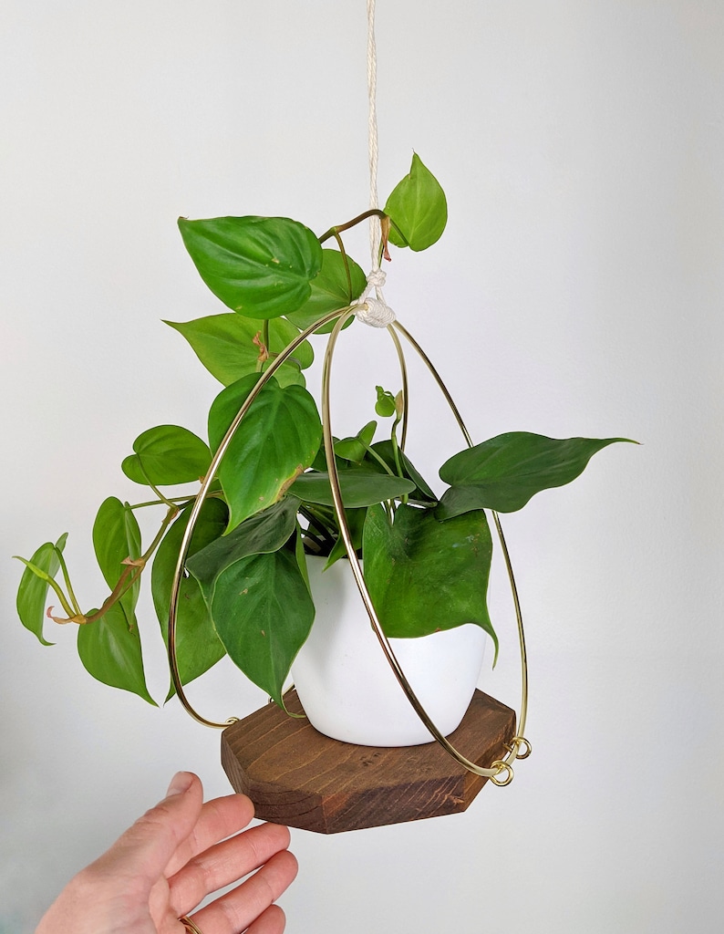 Modern Wooden Plant Hanger with Gold Hoops image 4