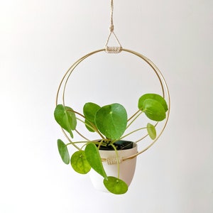 Gold Hoop Plant Hanger image 4