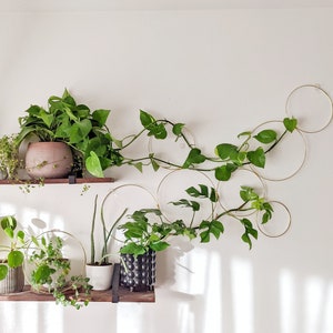 Large Gold Hoop Indoor Plant Wall Trellis image 6