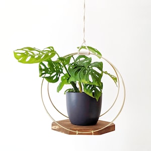Moderne Blumenampel aus Holz mit goldenen Creolen