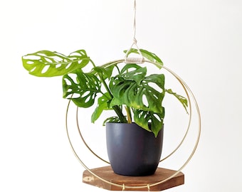 Modern Wooden Plant Hanger with Gold Hoops