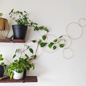Gold Hoop Indoor Plant Wall Trellis- Large