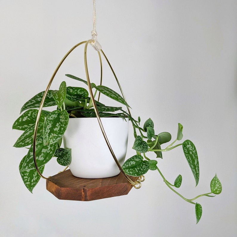 Modern Wooden Plant Hanger with Gold Hoops image 3