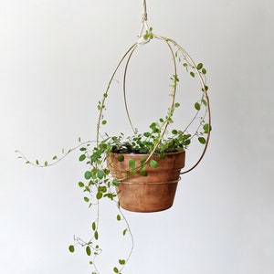 Gold Hoop Plant Hanger Large 12"x12" inches