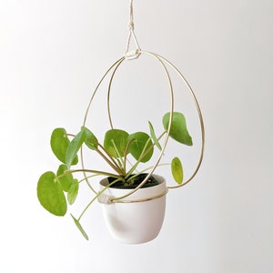 Gold Hoop Plant Hanger Medium 10"x10" inches