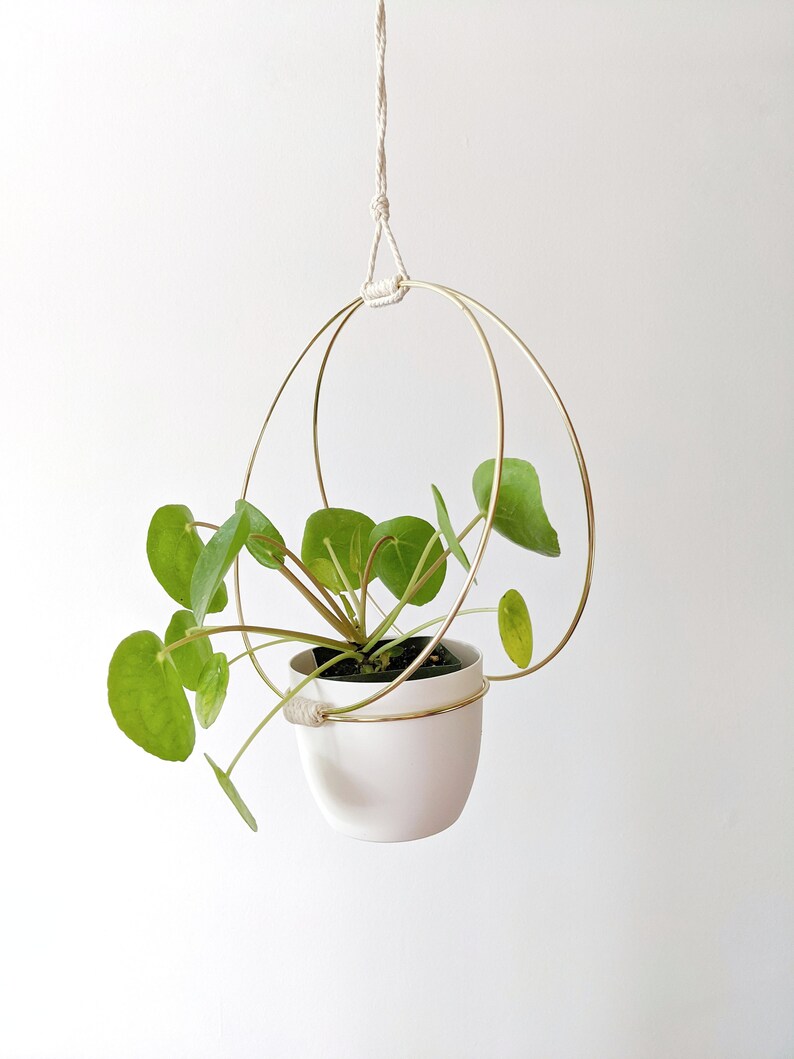 Gold Hoop Plant Hanger Medium 10"x10" inches