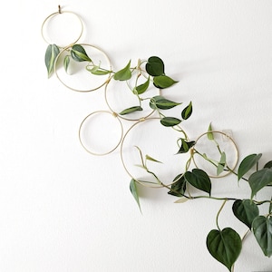 Small Gold Hoop Indoor Plant Wall Trellis