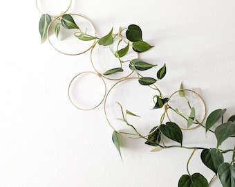 Small Gold Hoop Indoor Plant Wall Trellis