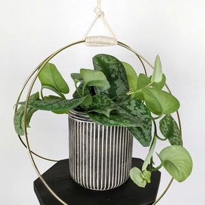Large Plant Hanger with Wooden base and Gold Hoops image 6
