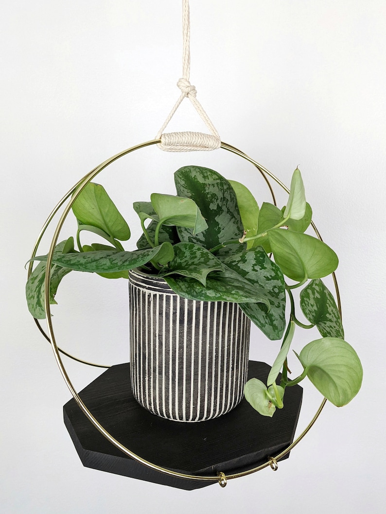 Large Plant Hanger with Wooden base and Gold Hoops image 6