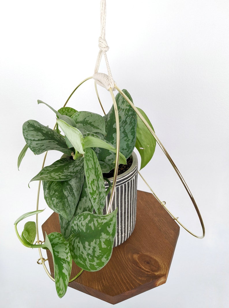 Large Plant Hanger with Wooden base and Gold Hoops image 4