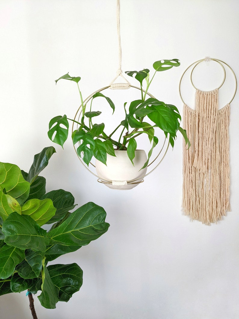 Gold Hoop Plant Hanger image 6