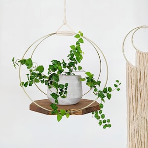 Large Plant Hanger with Wooden base and Gold Hoops Oak stain