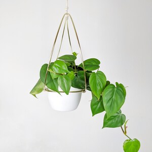 Gold Hoop Plant Hanger image 3