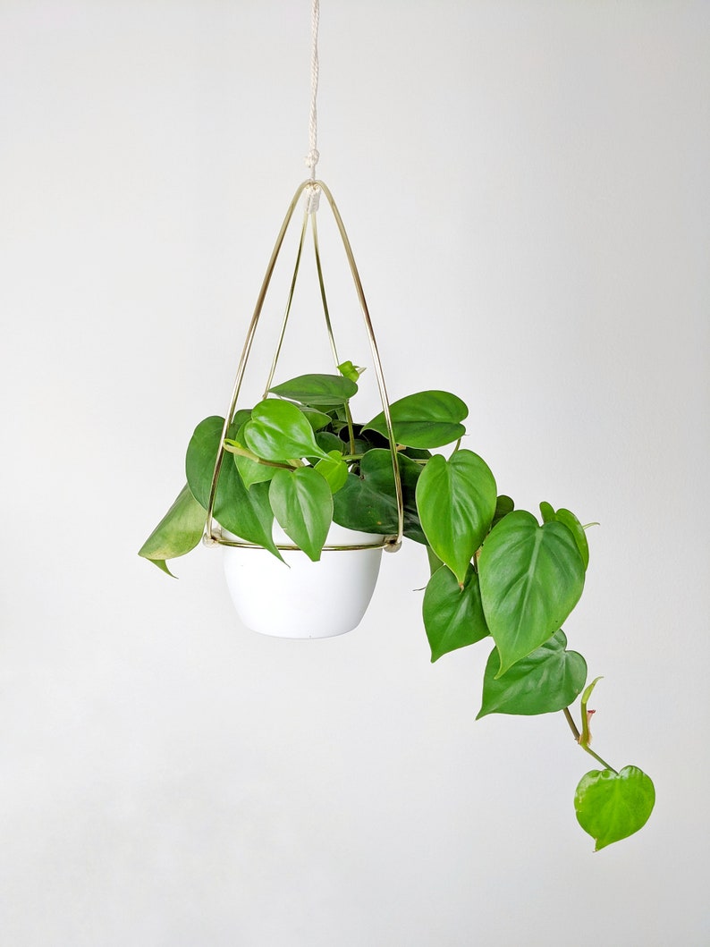 Gold Hoop Plant Hanger image 3