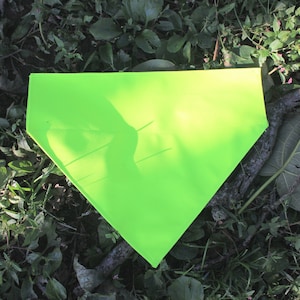 High Visibility Dog Bandana
