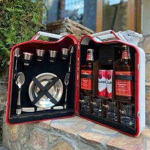 Set di bar con taniche da 20 litri per picnic per 4, bar del carburante, custodia da bar da viaggio portatile, mini bar da campeggio personalizzato, bar regalo, bar del carburante personalizzato