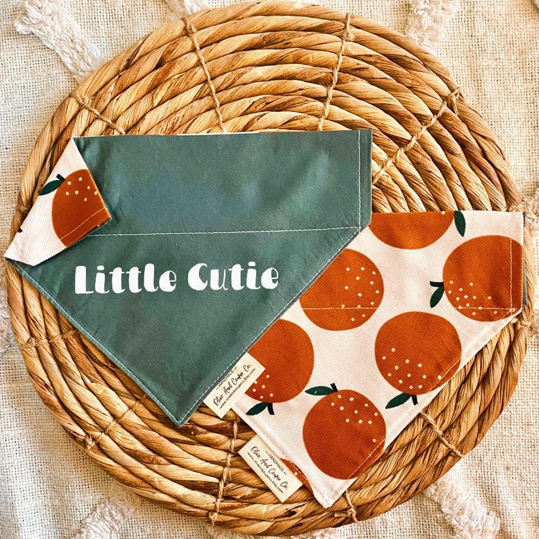 Little Cutie, Orange, Sage Green, Dog Bandana, Cat Bandana, Pet Bandana
