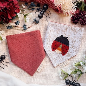 May include: Two dog bandanas. One is a textured, solid red-orange color. The other is white with a floral pattern and a ladybug applique. Decorative ants and flowers surround the bandanas.