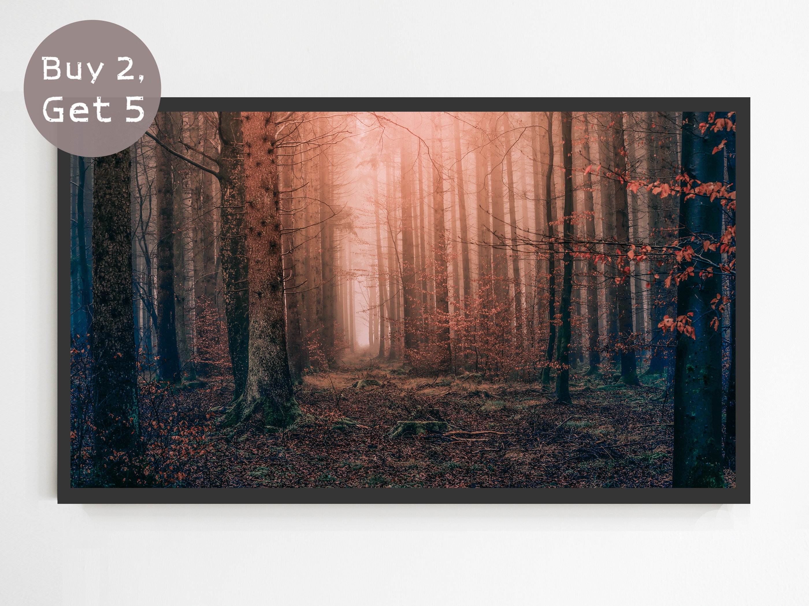 Autumn Moonlight shining through trees Digital Download for Samsung Frame Samsung Art TV Samsung Frame TV Art Instant Download Autumn Moonlight shining through trees Digital Download for Samsung Frame Samsung Art TV Samsung Frame TV Art Instant Download