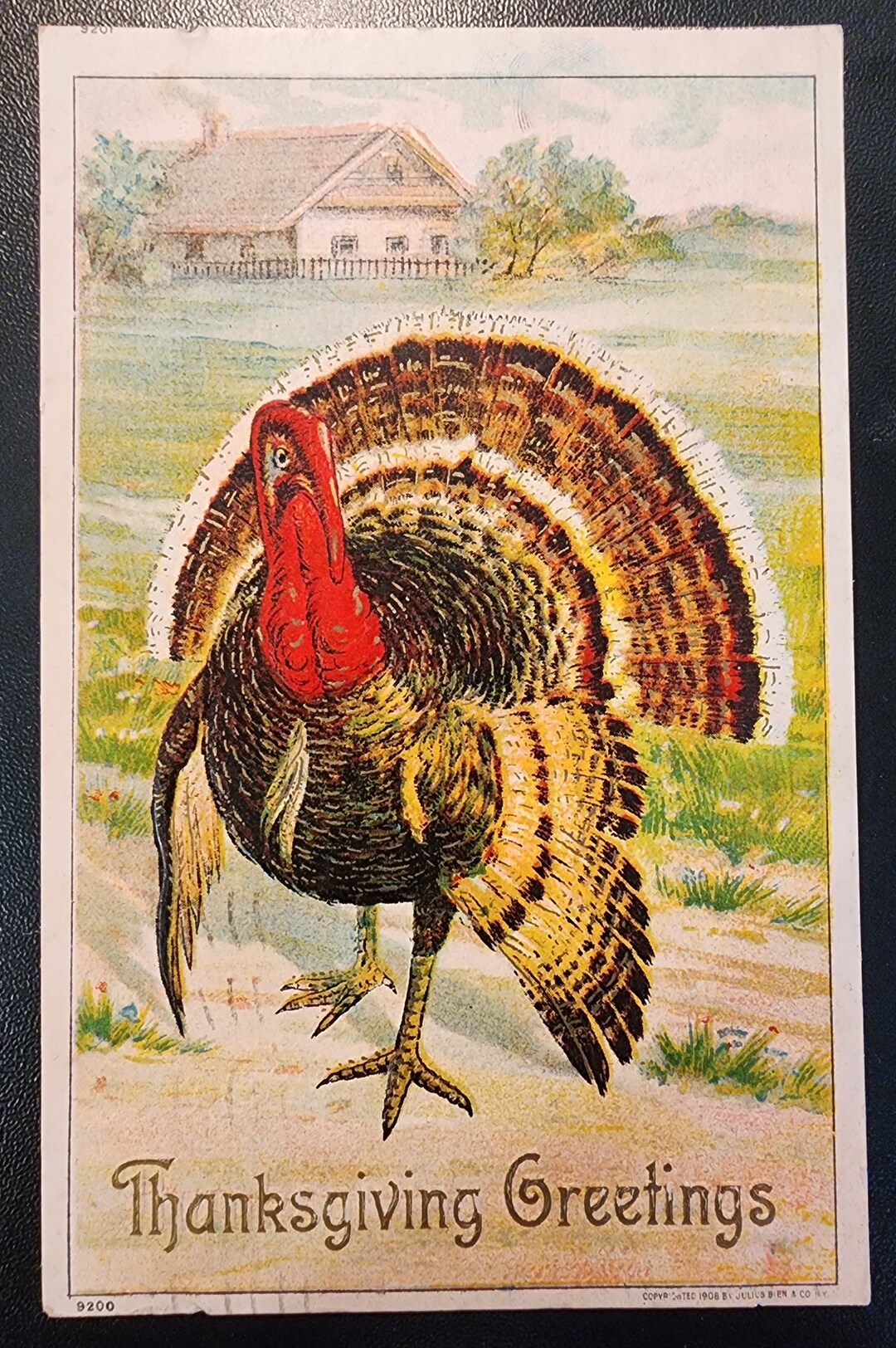 Vintage Thanksgiving Postcard - Turkey on Farm - Etsy