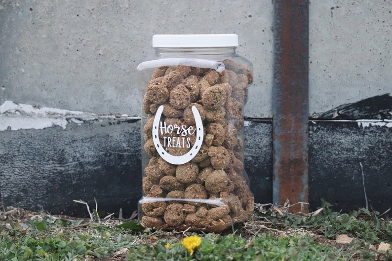 Custom Horse Treat Jar Etsy