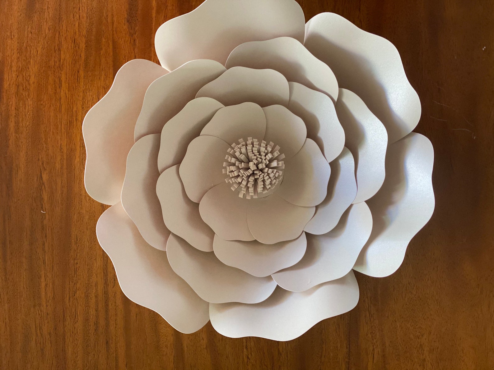 DIY Large Paper Flower Kit Large Paper Flowers 10 inch 12 Etsy