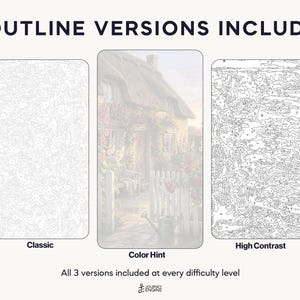 May include: Three paint-by-number templates labeled 3 OUTLINE VERSIONS INCLUDED. The left is a Classic light gray outline, the center is a Color Hint version of a cottage, and the right is a High Contrast black outline. Text reads Journey Engine.