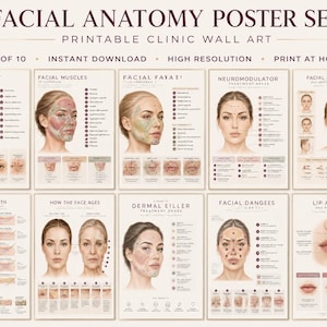 以下が含まれることがあります： Facial Anatomy Poster Setと題された10枚の教育用ポスターセット。顔の筋肉、比率、老化、注入の深さ、皮膚充填剤のゾーンに関する詳細な医学的イラストが、明るいベージュの背景に描かれています。