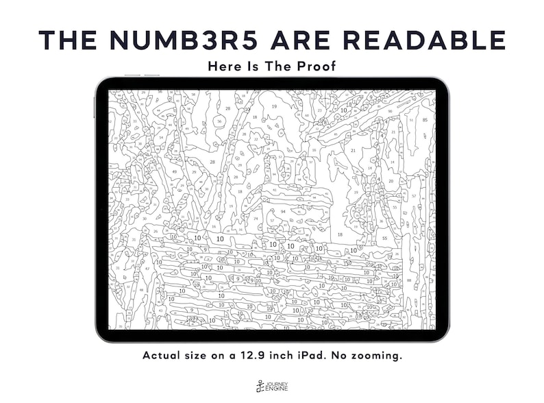 May include: A digital paint-by-number template displayed on a 12.9 inch iPad screen. The black and white line art features numerous numbered sections. Text at the top reads THE NUMB3R5 ARE READABLE Here Is The Proof, with a caption below stating the size.