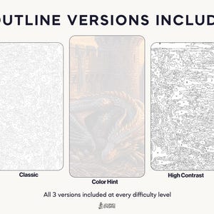 May include: Three paint-by-number outline versions labeled Classic, Color Hint, and High Contrast. The center image shows a dragon near a castle. Text at the top reads 3 OUTLINE VERSIONS INCLUDED, and at the bottom, All 3 versions included at every difficulty level, with a Journey Engine logo.