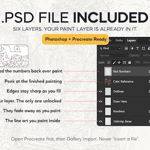 Pu&ograve; includere: Un grafico digitale che mostra una struttura di file .PSD con sei livelli per la pittura. L'interfaccia mostra etichette tra cui Red Numbers, Color Reference, Outlines, Draw Here, Numbers e Coloring faces, con istruzioni testuali per Photoshop e Procreate.