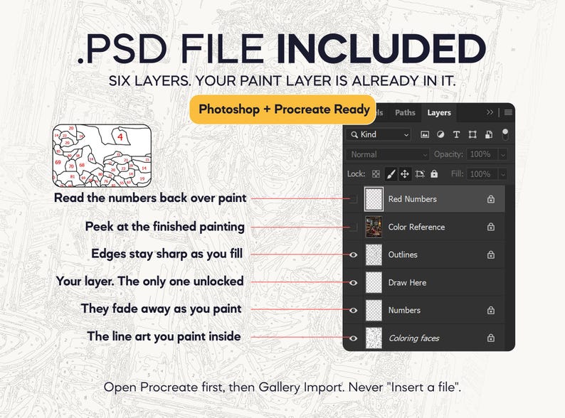 Pu&ograve; includere: Un grafico digitale che mostra una struttura di file .PSD con sei livelli per la pittura. L'interfaccia mostra etichette tra cui Red Numbers, Color Reference, Outlines, Draw Here, Numbers e Coloring faces, con istruzioni testuali per Photoshop e Procreate.