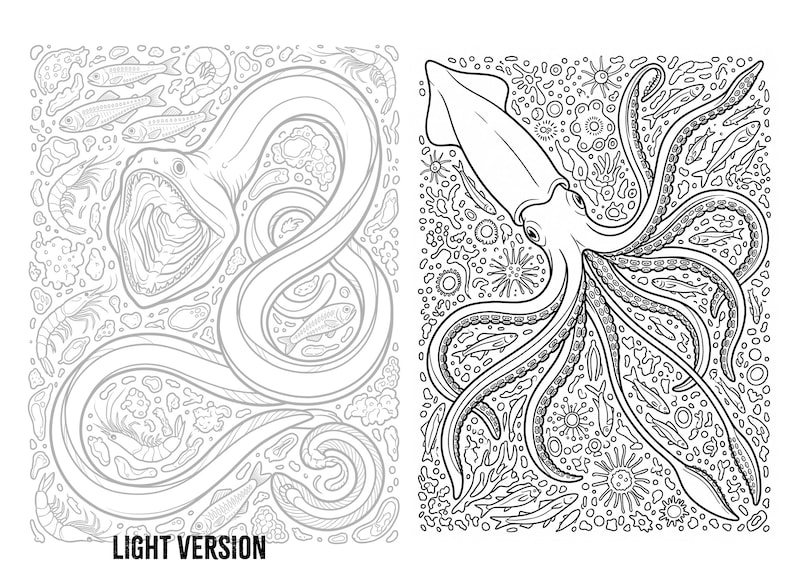 May include: A black and white coloring page featuring two distinct panels. The left panel shows a light-lined eel surrounded by shrimp and fish. The right panel displays a bold-lined squid surrounded by various small fish and sea life.