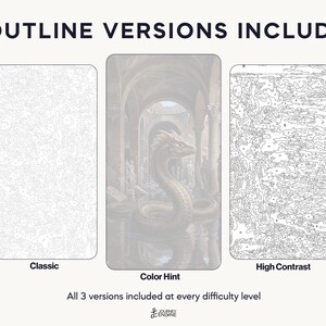 May include: Three paint-by-number templates labeled 3 OUTLINE VERSIONS INCLUDED. The left is a Classic light gray outline, the center is a Color Hint version with a dragon in a hall, and the right is a High Contrast black outline.